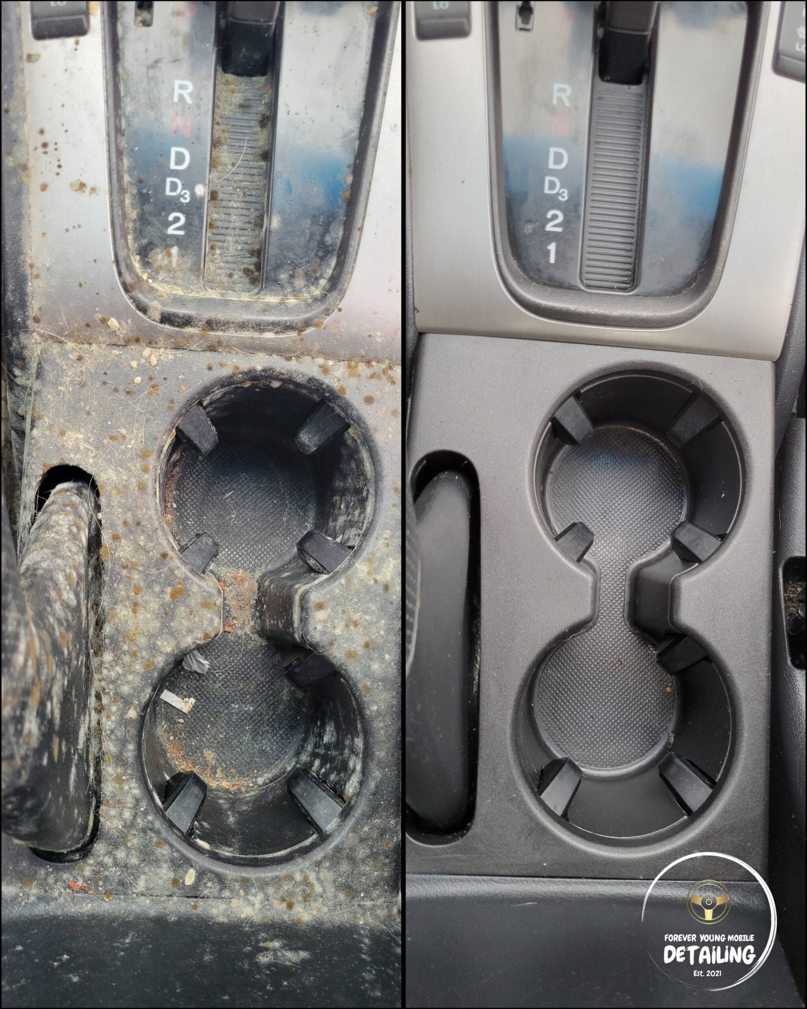 Mold Removal Result